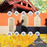 郑州周边游｜假装在京都｜一起看绝美银杏