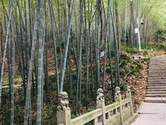 -敬亭山风景名胜区