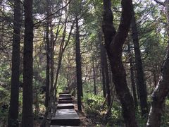 -白草畔自然风景区