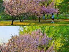 -白塘生态植物园