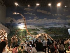 -自贡恐龙博物馆