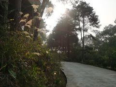 -客乐得玉峰山房车营地