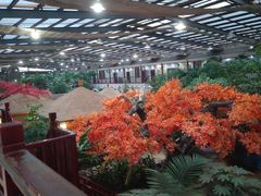 -老山东·山东菜(鲁菜名店)