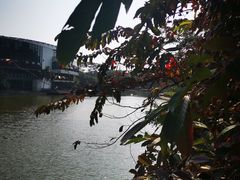 -深圳国际园林花卉博览园