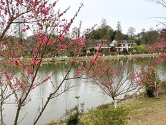 -常德桃花源景区