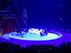 -珠海横琴长隆《卡卡虎奇遇记》