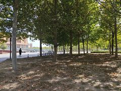 -华北理工大学(曹妃甸校区)