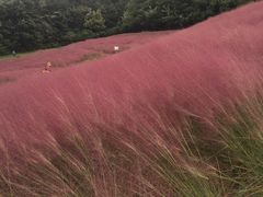 -昆嵛山石门里景区