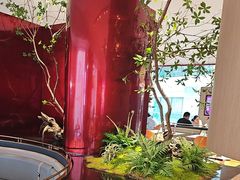 -老板恋上鱼(恒隆广场店)