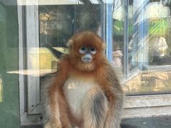 -大连森林动物园