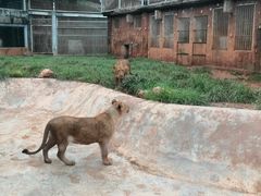 -昆明动物园