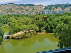 -清真·马安军辣子牛肉面