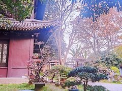-团城山公园