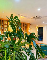 -百秀名媛纹绣美学护肤中心