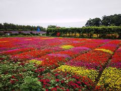 -金色田园农家乐餐厅