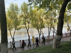 -重庆彩云湖湿地公园