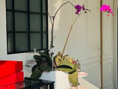 -考文甜品研究社