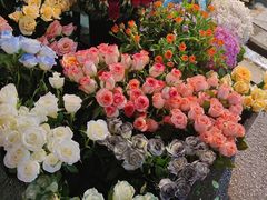 -循礼门鲜花花市(武汉循礼门店)