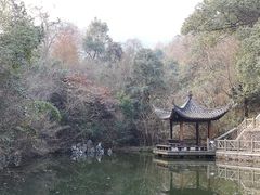 -敬亭山风景名胜区