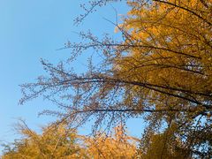 -辽宁大学(崇山校区)