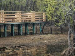 -洱海月湿地公园