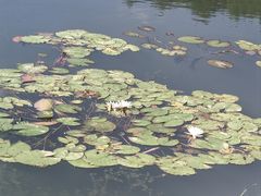 -夏霖九天银瀑风景区