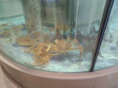 大堂-海底捞大排档火锅(打浦路店)