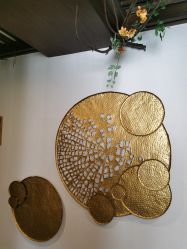 -青青一生美皮肤管理