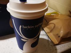 -瑞幸咖啡(东亚望京中心店)