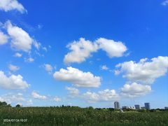 -苏州湾体育公园