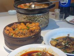 -新概念来凤鱼(璧山店)