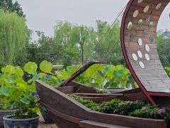 -无锡蠡湖国家湿地公园-蠡园