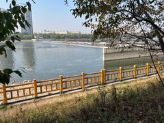 -长白岛森林公园