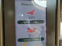 -新加坡飞禽公园