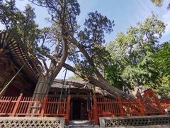 -晋祠公园