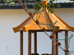 -杭州野生动物世界