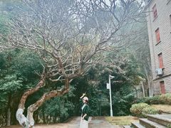 -厦门大学(思明校区)