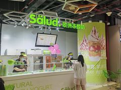 -Salud撒露欧洲冻酸奶(北苑上品店)