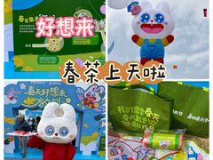 -潍坊滨海云门国际风筝放飞场