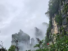 -蝶舞清江·恩施云顶景区(黄鹤峰林)