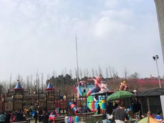 -秀丽东方