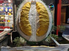 -都念榴莲·城市榴莲