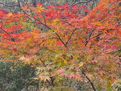 -青岛崂山太清宫
