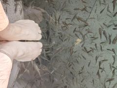-扬州瘦西湖温泉