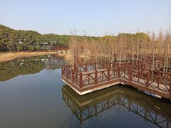 -同里国家湿地公园