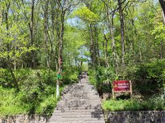 -南京老山国家森林公园
