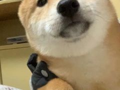 -蔴将·川菜(黄龙万科店)