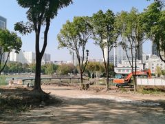 -后襄河公园