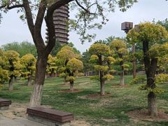 -西海子公园