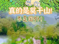 -莫干山风景区
